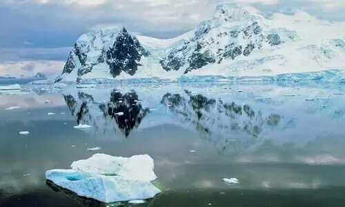 Antarctica Antarctica