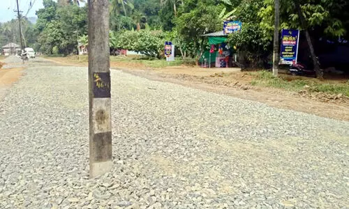 റോഡിന്​ നടുവിൽ പോസ്​റ്റായി യാത്രക്കാർ