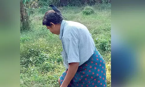 കൗ​തു​ക​മാ​യി അ​ലി​യും കി​ളി​യും ത​മ്മി​ലെ സൗ​ഹൃ​ദം