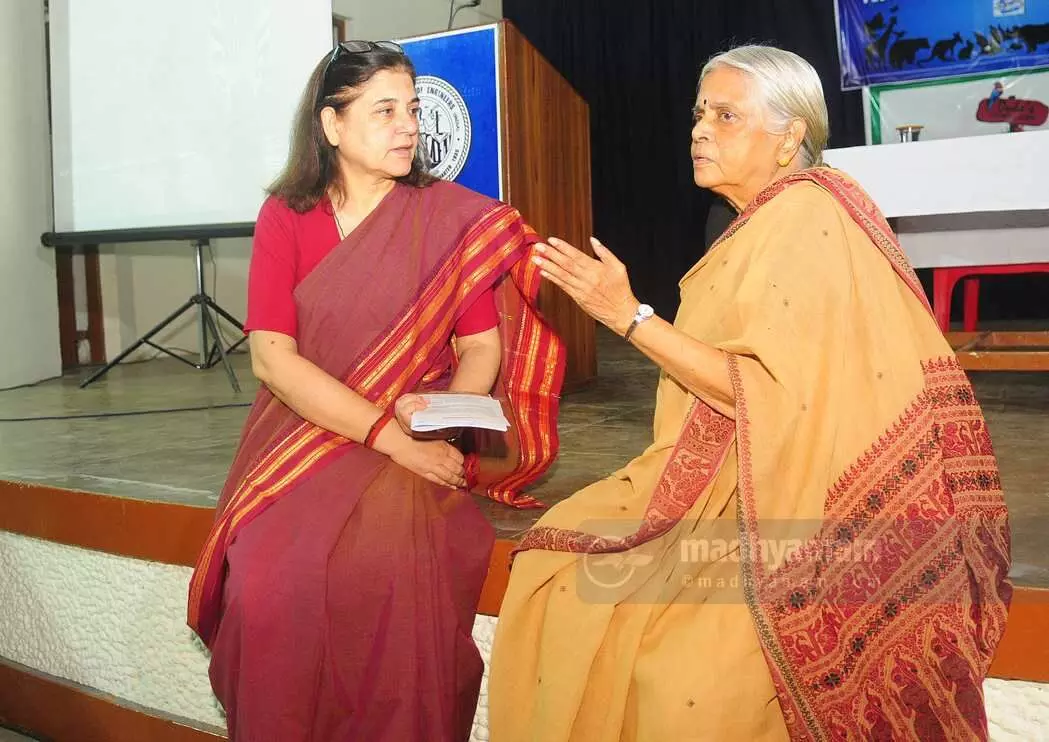 പെയ്തൊഴിഞ്ഞു...