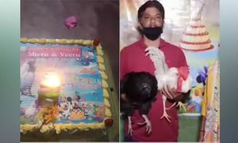 roosters birthday celebration