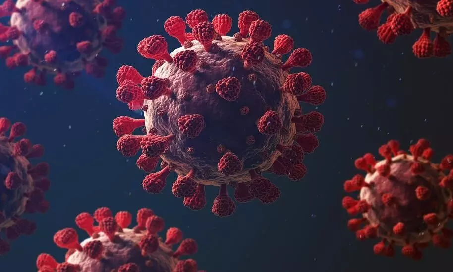 കൊറോണ വൈറസിന് യു.കെയിൽ മൂന്നാമതൊരു ജനിതക വകഭേദം കൂടി; കൂടുതൽ അപകടകാരിയെന്ന് കൊറോണ വൈറസിന് യു.കെയിൽ മൂന്നാമതൊരു ജനിതക വകഭേദം കൂടി; കൂടുതൽ അപകടകാരിയെന്ന്