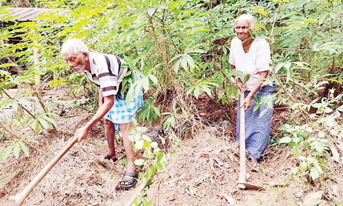 90 കഴിഞ്ഞിട്ടും മാത്യുവും മേരിയും കൃഷിയിടത്തിൽ;   ട്വീറ്റ് ചെയ്ത് രാഹുൽ ഗാന്ധി