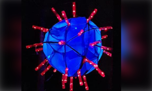 കൊ​റോ​ണ വൈ​റ​സ് രൂ​പ​ത്തി​ൽ കൂ​റ്റ​ൻ ന​ക്ഷ​ത്രം ഒ​രു​ക്കി യു​വാ​ക്ക​ൾ