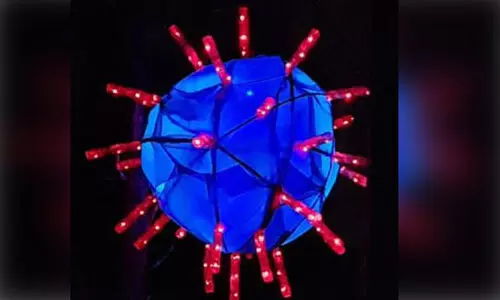 കൊ​റോ​ണ വൈ​റ​സ് രൂ​പ​ത്തി​ൽ കൂ​റ്റ​ൻ ന​ക്ഷ​ത്രം ഒ​രു​ക്കി യു​വാ​ക്ക​ൾ