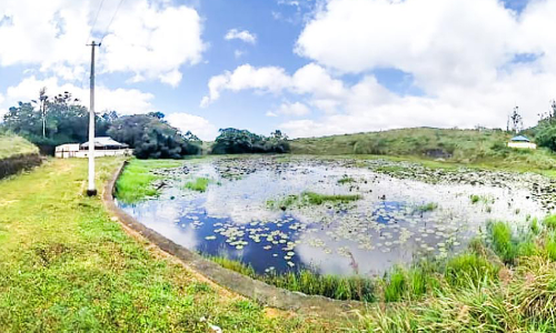 സ​ഞ്ചാ​രി​ക​ൾ​ക്ക് ന​വ്യാ​നു​ഭ​വം പ​ക​ർ​ന്ന്​ കാ​റ്റൂ​തി​മേ​ട്