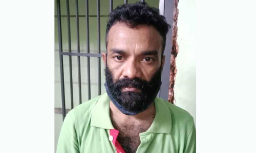 പുതുവർഷ ആഘോഷത്തിനെത്തിച്ച ലഹരി മരുന്നുകളുമായി യുവാവ് പിടിയിൽ