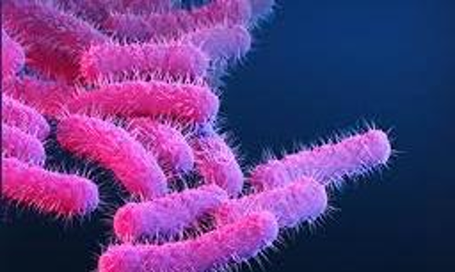 ഷിഗെല്ല: ഫറോക്കിൽ കനത്ത ജാഗ്രത; ഹോട്ടലുകൾക്ക്​ കർശന നിർദേശം