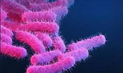 ഷിഗെല്ല: ഫറോക്കിൽ കനത്ത ജാഗ്രത; ഹോട്ടലുകൾക്ക്​ കർശന നിർദേശം