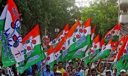 Trinamool Supporters