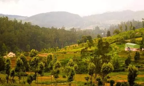 മാ​സ്​​ക്കി​ല്ല; നീലഗിരിയിൽ വി​നോ​ദ​സ​ഞ്ചാ​രി​ക​ളി​ൽ​നി​ന്ന് 1.80 ല​ക്ഷം രൂ​പ പി​ഴ ഈ​ടാ​ക്കി