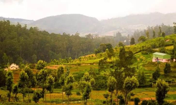 മാസ്ക്കില്ല; നീലഗിരിയിൽ വിനോദസഞ്ചാരികളിൽനിന്ന് 1.80 ലക്ഷം രൂപ പിഴ ഈടാക്കി മാസ്ക്കില്ല; നീലഗിരിയിൽ വിനോദസഞ്ചാരികളിൽനിന്ന് 1.80 ലക്ഷം രൂപ പിഴ ഈടാക്കി