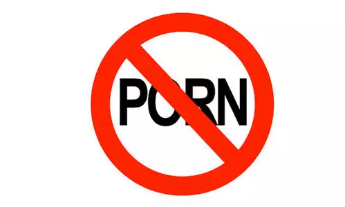 Operation P Hunt Police Inspection