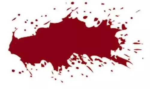 Two children bitten by otters