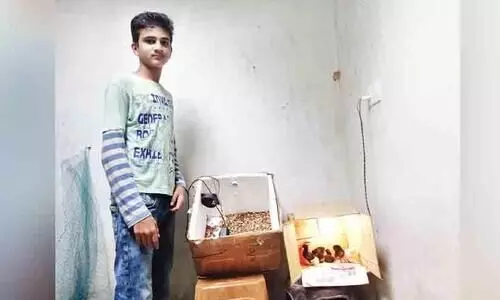 Ninth grader building an incubator