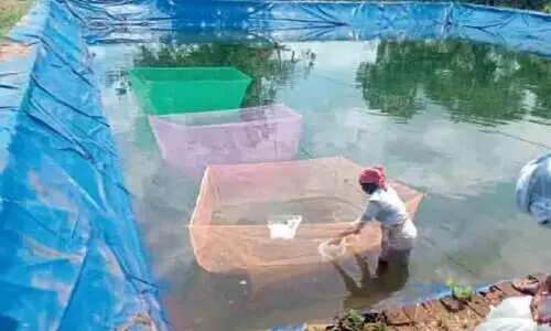 Aralam Farm: Approval for Agricultural University project