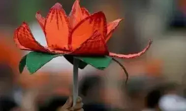 bjp lotus bjp lotus