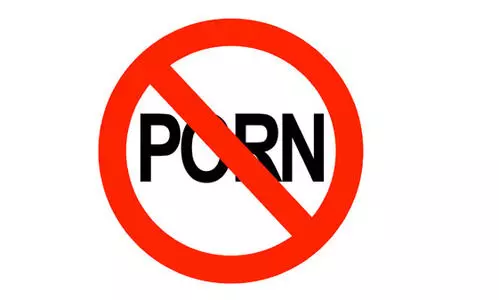 Operation P Hunt; Home inspection