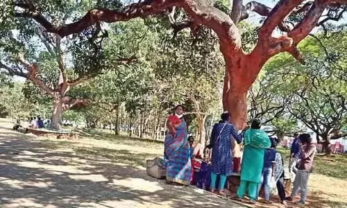 Tourists began to arrive; Thekkinkad is active