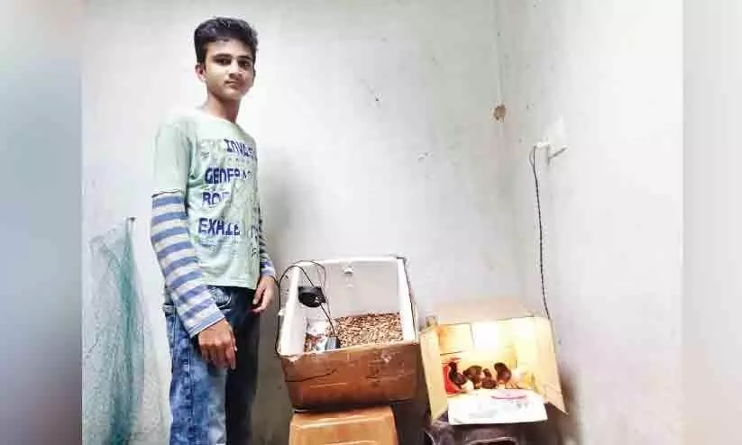 Ninth grader building an incubator