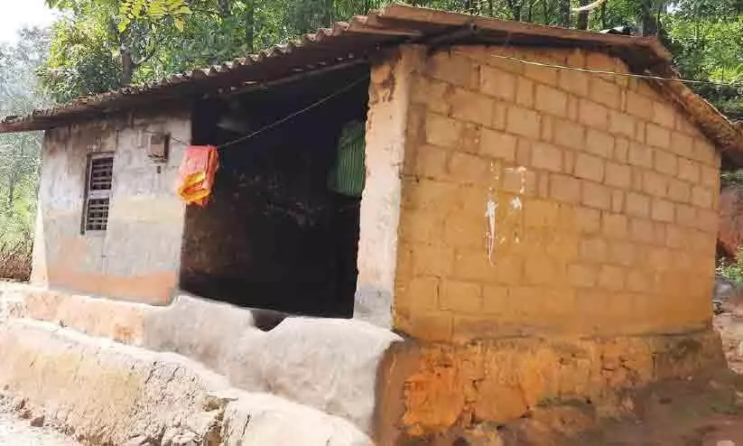 No rehabilitation; Bhudanam colonists in distress