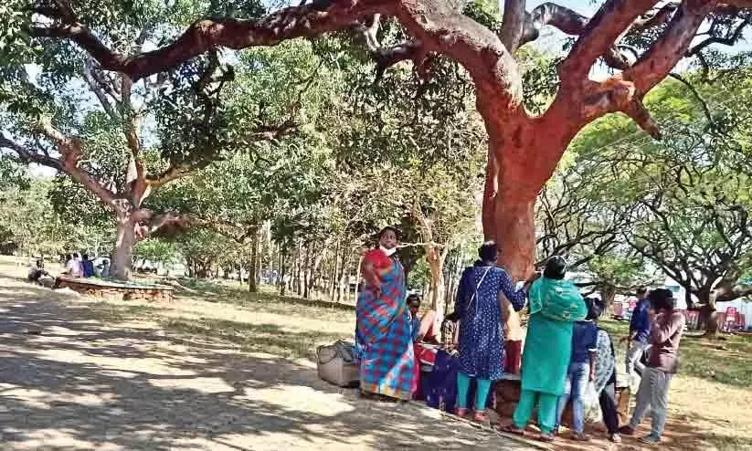 Tourists began to arrive; Thekkinkad is active Tourists began to arrive; Thekkinkad is active