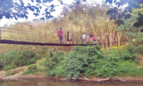 ആട്ടുപാലങ്ങള്‍ കാണാന്‍ സഞ്ചാരികളുടെ തിരക്ക്