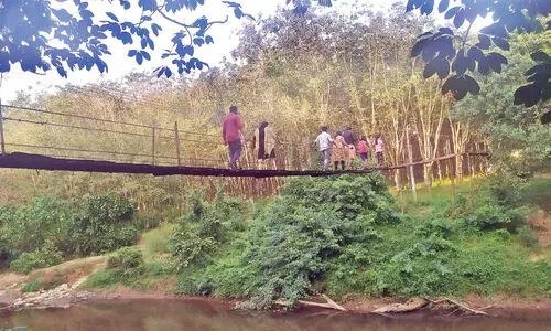 ആട്ടുപാലങ്ങള്‍ കാണാന്‍ സഞ്ചാരികളുടെ തിരക്ക്