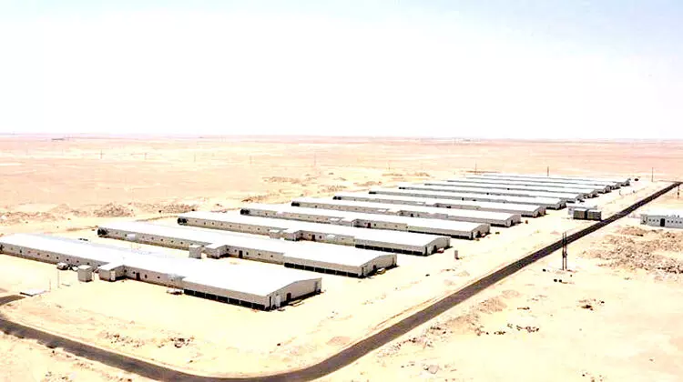 ഹൈമയിൽ വൻകിട പൗൾട്രി ഫാം ജനുവരിയിൽ പ്രവർത്തനമാരംഭിക്കും ഹൈമയിൽ വൻകിട പൗൾട്രി ഫാം ജനുവരിയിൽ പ്രവർത്തനമാരംഭിക്കും