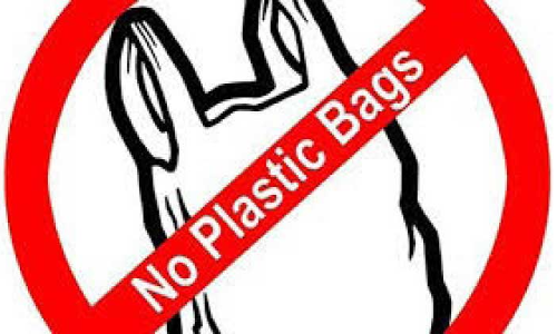 പ്ലാ​സ്​​റ്റി​ക്​ ബാ​ഗ്​ നി​രോ​ധ​നം നാ​ളെ മു​ത​ൽ; ധാ​ര​ണ​യി​ല്ലാ​തെ ചെ​റു​കി​ട വ്യാ​പാ​രി​ക​ൾ