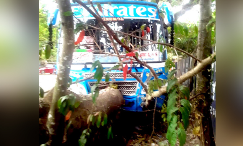 ഡ്രൈവർക്ക്​ ദേഹാസ്വാസ്ഥ്യം; ബസ് തടികൾക്കിടയിലേക്ക് ഇടിച്ചുകയറി