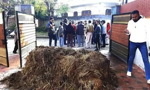 പഞ്ചാബിൽ കാർഷിക നിയമങ്ങളെ അനുകൂലിച്ച ബി.ജെ.പി നേതാവിന്‍റെ വീട്ടിൽ ചാണകം തള്ളി