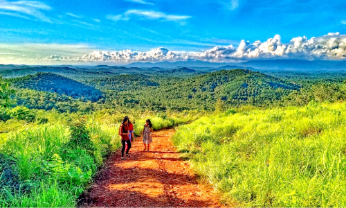 സൂ​ര്യോ​ദ​യ​-അ​സ്ത​മ​യ​ക്കാ​ഴ്ചകളും പെ​യ്തി​റ​ങ്ങു​ന്ന കോ​ട​മ​ഞ്ഞും... കാഴ്​ചവിരുന്നൊരുക്കി മീറോഡ് മല