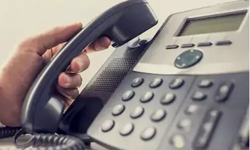 മുഖ്യമന്ത്രിയുടെ ഓഫിസിലേക്കൊരു ഫോൺകാൾ; തെരുവുനായ്​ക്ക് പുതുജീവന്‍