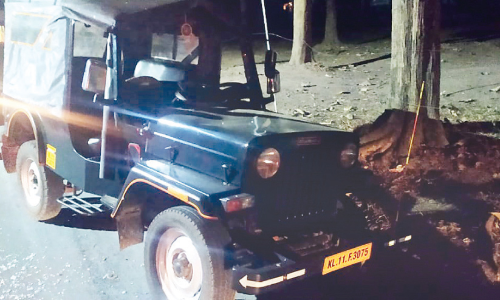 തോൽപെട്ടിയിൽ കാട്ടാനശല്യം രൂക്ഷം; ജീപ്പ് തകർത്തു