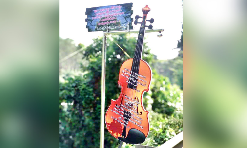 മാലിന്യം വലിച്ചെറിയരുത്​; വയലിൻ കൊണ്ടൊരു ബോധവത്​കരണം