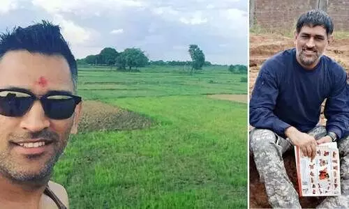 ധോണിയുടെ ഫാമിൽ വിളഞ്ഞ പഴങ്ങളും പച്ചക്കറികളും ദുബായിലേക്ക്​; രണ്ടാം ഇന്നിങ്​സിലും വിജയക്കൊടി പാറിച്ച്​ തല