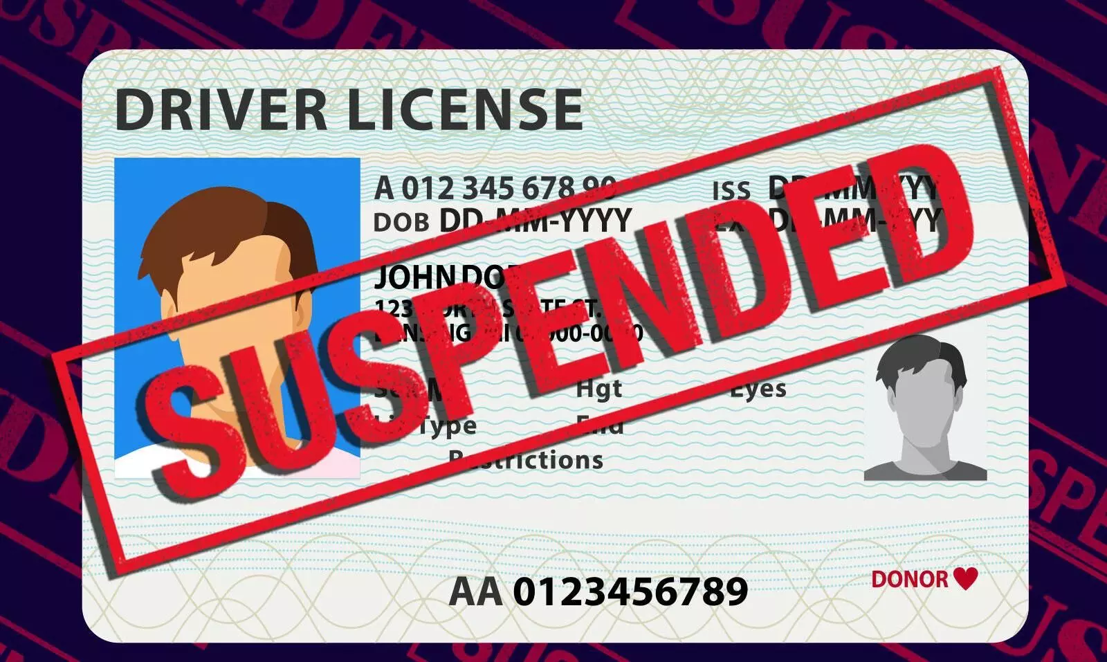 driver license driver license