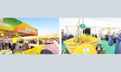 ഹരീഖ് ഓറഞ്ച് ഉത്സവത്തിന് കൊടിയിറങ്ങാൻ ഇനി ഏഴുനാൾ; നഗരിയിലേക്ക് സന്ദർശക പ്രവാഹം