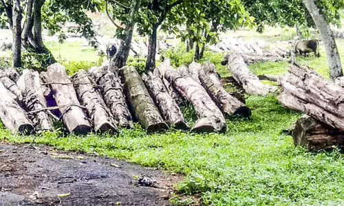 രാ​ത്രി ത​ടി​യി​റ​ക്കുന്നതിനിടെ തൊഴിലാളിക്ക്​ പരിക്ക്​