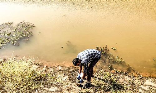 ചിത്രപ്പുഴയിൽ മത്സ്യം ചത്തുപൊങ്ങി