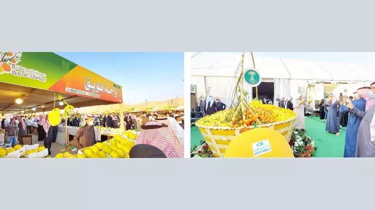 ഹരീഖ് ഓറഞ്ച് ഉത്സവത്തിന് കൊടിയിറങ്ങാൻ ഇനി ഏഴുനാൾ; നഗരിയിലേക്ക് സന്ദർശക പ്രവാഹം ഹരീഖ് ഓറഞ്ച് ഉത്സവത്തിന് കൊടിയിറങ്ങാൻ ഇനി ഏഴുനാൾ; നഗരിയിലേക്ക് സന്ദർശക പ്രവാഹം