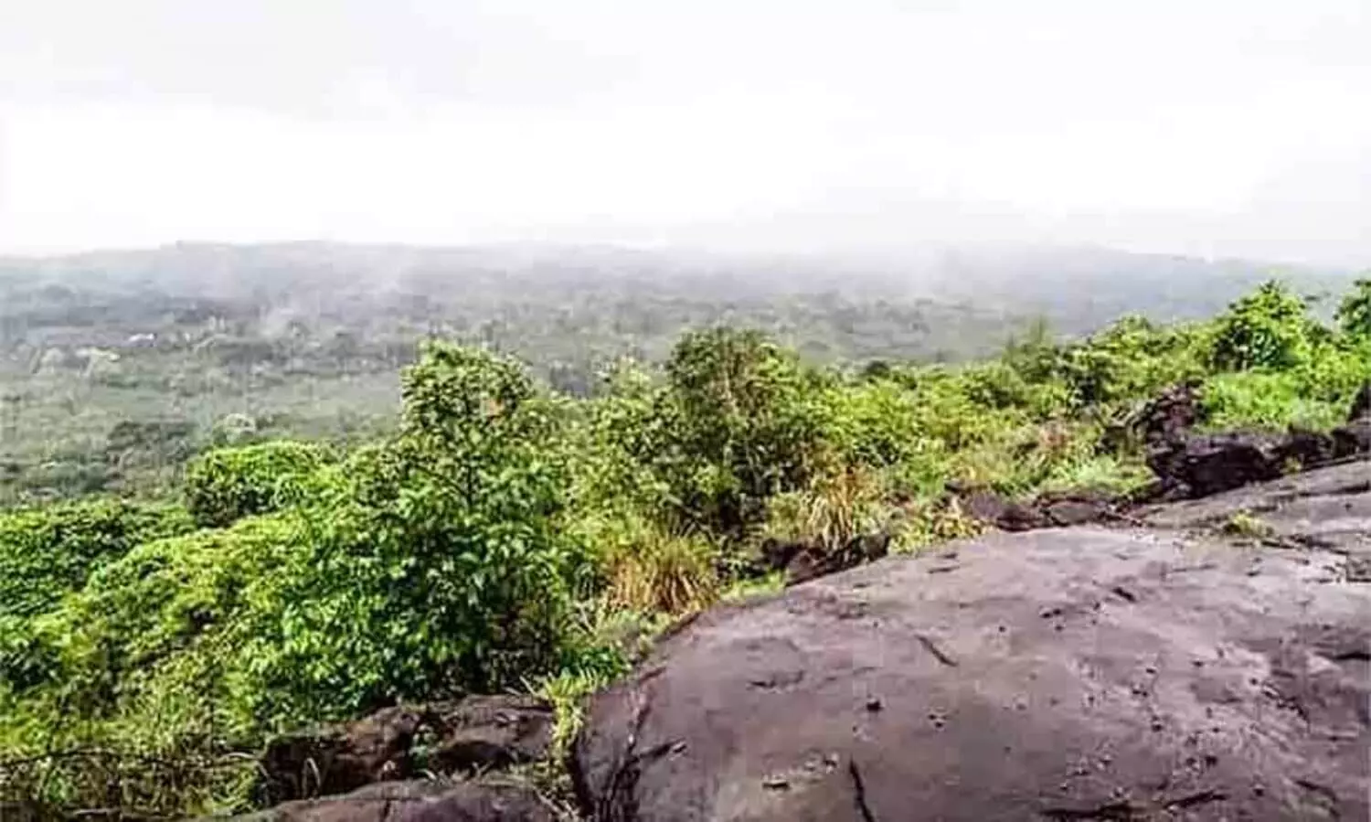 പോയാലോ, പോയാലി മലയിലേക്ക്