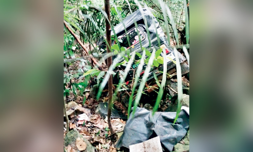 നാ​​ടു​​കാ​​ണി ചു​ര​ത്തി​ൽ ഓ​ട്ടോ കൊ​ക്ക​യി​ലേ​ക്ക് മ​റി​ഞ്ഞ്​ നാ​ലു​പേ​ർ​ക്ക് പ​രി​ക്ക്