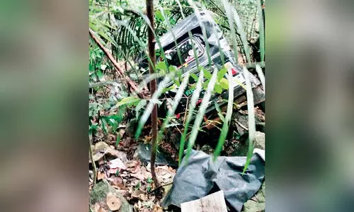 നാ​​ടു​​കാ​​ണി ചു​ര​ത്തി​ൽ ഓ​ട്ടോ കൊ​ക്ക​യി​ലേ​ക്ക് മ​റി​ഞ്ഞ്​ നാ​ലു​പേ​ർ​ക്ക് പ​രി​ക്ക്