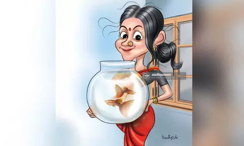 ഗ​പ്പി അ​ത്ര ചെ​റി​യ മീ​ന​ല്ല