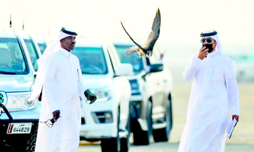 മ​ർ​മി ഫാ​ൽ​ക്ക​ൺ മേ​ള​ക്ക്​ തു​ട​ക്കം