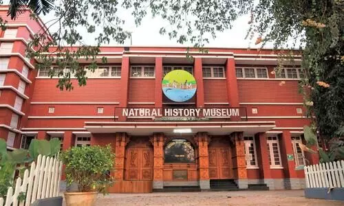 natural history museum