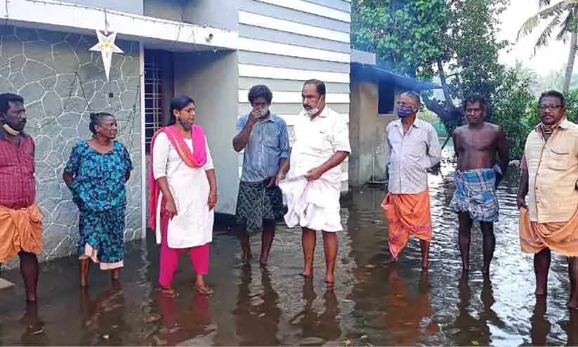വേലിയേറ്റം: വളന്തക്കാട് വീടുകള് വെള്ളക്കെട്ടിൽ വേലിയേറ്റം: വളന്തക്കാട് വീടുകള് വെള്ളക്കെട്ടിൽ