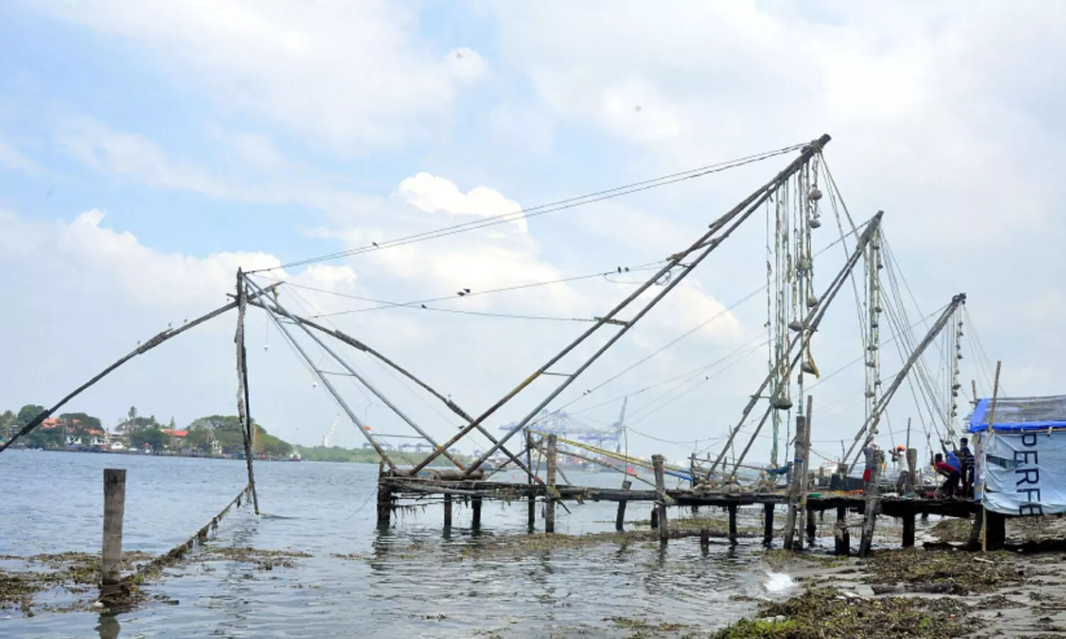 കടലിറങ്ങി കര രൂപപ്പെട്ടു; ചീനവലകൾ ഭീഷണിയിൽ